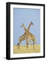 Crossed-Susann Parker-Framed Premium Photographic Print