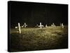 Crosses in a Cemetery-Michael Prince-Stretched Canvas