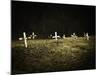 Crosses in a Cemetery-Michael Prince-Mounted Photographic Print