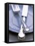 Crosses Knife and Fork on a Plate-Joerg Lehmann-Framed Stretched Canvas