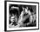 Crossfire, Robert Ryan, Robert Mitchum, Robert Young, 1947-null-Framed Photo