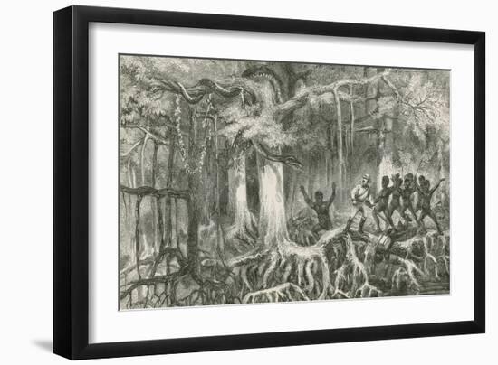 Crossing a Mangrove Swamp-null-Framed Giclee Print