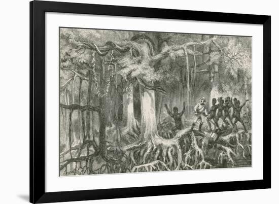 Crossing a Mangrove Swamp-null-Framed Giclee Print