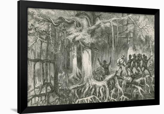 Crossing a Mangrove Swamp-null-Framed Giclee Print