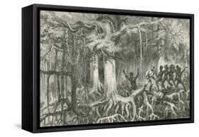 Crossing a Mangrove Swamp-null-Framed Stretched Canvas