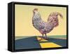 Crossing Chicken-James W Johnson-Framed Stretched Canvas