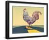 Crossing Chicken-James W Johnson-Framed Giclee Print