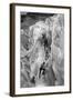 Crossing Crevasse on the Nisqually Glacier, ca. 1905-Ashael Curtis-Framed Giclee Print