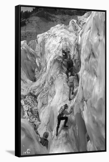 Crossing Crevasse on the Nisqually Glacier, ca. 1905-Ashael Curtis-Framed Stretched Canvas