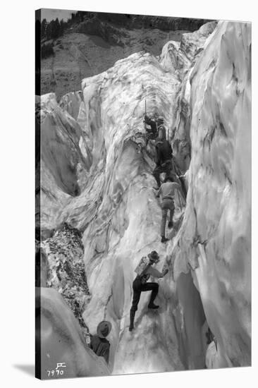 Crossing Crevasse on the Nisqually Glacier, ca. 1905-Ashael Curtis-Stretched Canvas