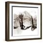 Crossing Neutral Streams 2-Marcus Prime-Framed Art Print