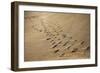 Crossing Paths-SD Smart-Framed Photographic Print