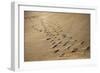 Crossing Paths-SD Smart-Framed Photographic Print