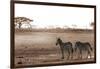 Crossing the African Plains-Jorge Llovet-Framed Art Print