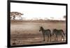 Crossing the African Plains-Jorge Llovet-Framed Art Print