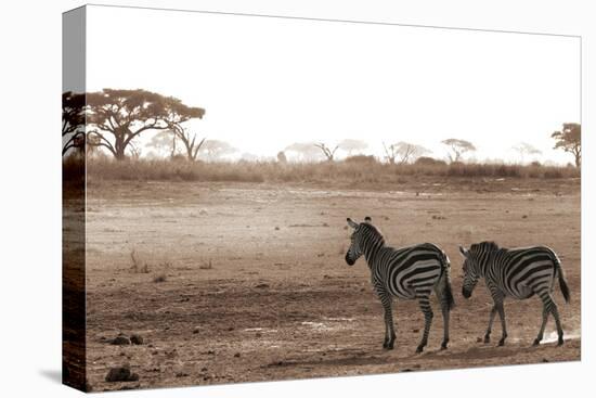 Crossing the African Plains-Jorge Llovet-Stretched Canvas