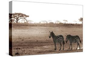 Crossing the African Plains-Jorge Llovet-Stretched Canvas