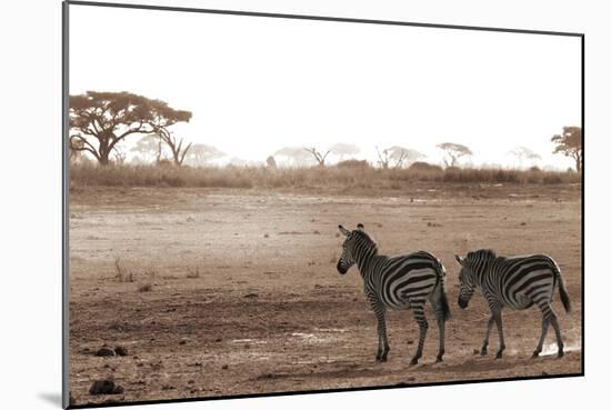 Crossing the African Plains-Jorge Llovet-Mounted Art Print