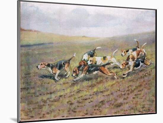 Crossing the Fields, Illustration from 'Hounds'-Thomas Ivester Lloyd-Mounted Giclee Print