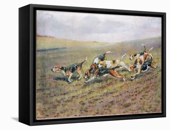 Crossing the Fields, Illustration from 'Hounds'-Thomas Ivester Lloyd-Framed Stretched Canvas