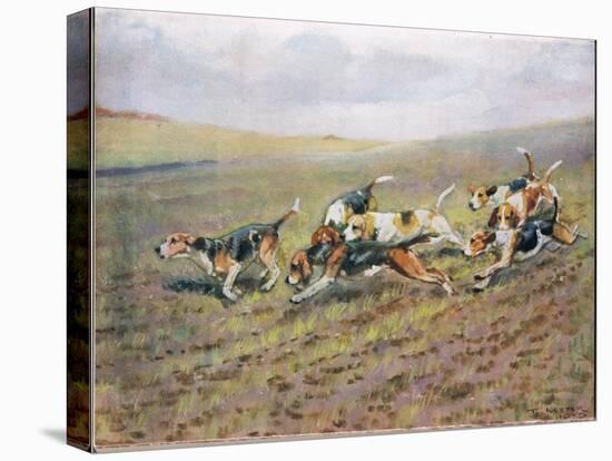 Crossing the Fields, Illustration from 'Hounds'-Thomas Ivester Lloyd-Stretched Canvas