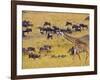 Crossing the Mara River, Maasai Mara, Kenya-Joe Restuccia III-Framed Photographic Print