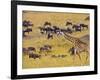 Crossing the Mara River, Maasai Mara, Kenya-Joe Restuccia III-Framed Photographic Print