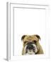 Crosspatch Canine-Assaf Frank-Framed Giclee Print