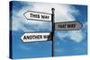 Crossroad Signpost Saying This Way, that Way, Another Way Concept for Lost, Confusion or Decisions-Flynt-Stretched Canvas