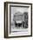 Crossroads General Store in Sprott, Alabama, 1935-36-Walker Evans-Framed Photographic Print