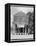 Crossroads General Store in Sprott, Alabama, 1935-36-Walker Evans-Framed Stretched Canvas