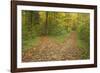 Crossroads Showing Fork in Path Where a Country-null-Framed Photographic Print