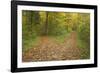 Crossroads Showing Fork in Path Where a Country-null-Framed Photographic Print