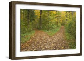 Crossroads Showing Fork in Path Where a Country-null-Framed Photographic Print