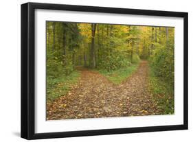 Crossroads Showing Fork in Path Where a Country-null-Framed Photographic Print