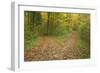 Crossroads Showing Fork in Path Where a Country-null-Framed Photographic Print