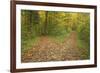 Crossroads Showing Fork in Path Where a Country-null-Framed Photographic Print