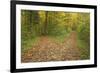 Crossroads Showing Fork in Path Where a Country-null-Framed Photographic Print