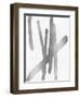 Crossroads Silver IV-Ellie Roberts-Framed Art Print