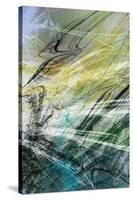 Crosstalk Panel II-James Burghardt-Stretched Canvas