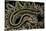 Crotalus Durissus Durissus (Cascabel Rattlesnake)-Paul Starosta-Stretched Canvas
