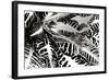 Croton II-Alan Hausenflock-Framed Photographic Print