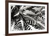 Croton II-Alan Hausenflock-Framed Photographic Print