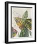 Crotons-Jacob Q-Framed Art Print