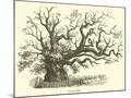 Wood Mount