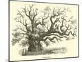 Wood Mount