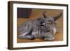 Crouching Buffalo, Porcelain Statue, China-null-Framed Giclee Print