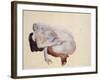 Crouching Nude in Shoes and Black Stockings, Back View, 1912-Egon Schiele-Framed Giclee Print