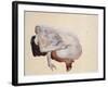 Crouching Nude in Shoes and Black Stockings, Back View, 1912-Egon Schiele-Framed Giclee Print