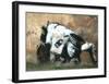 Crouching Policeman-Banksy-Framed Giclee Print